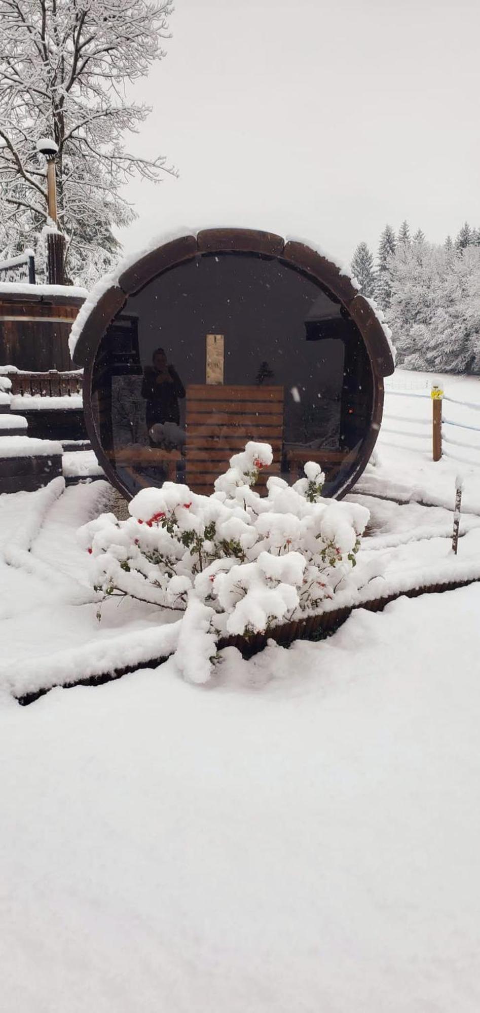 Les Chalets De Ludran Viuz-en-Sallaz Ngoại thất bức ảnh