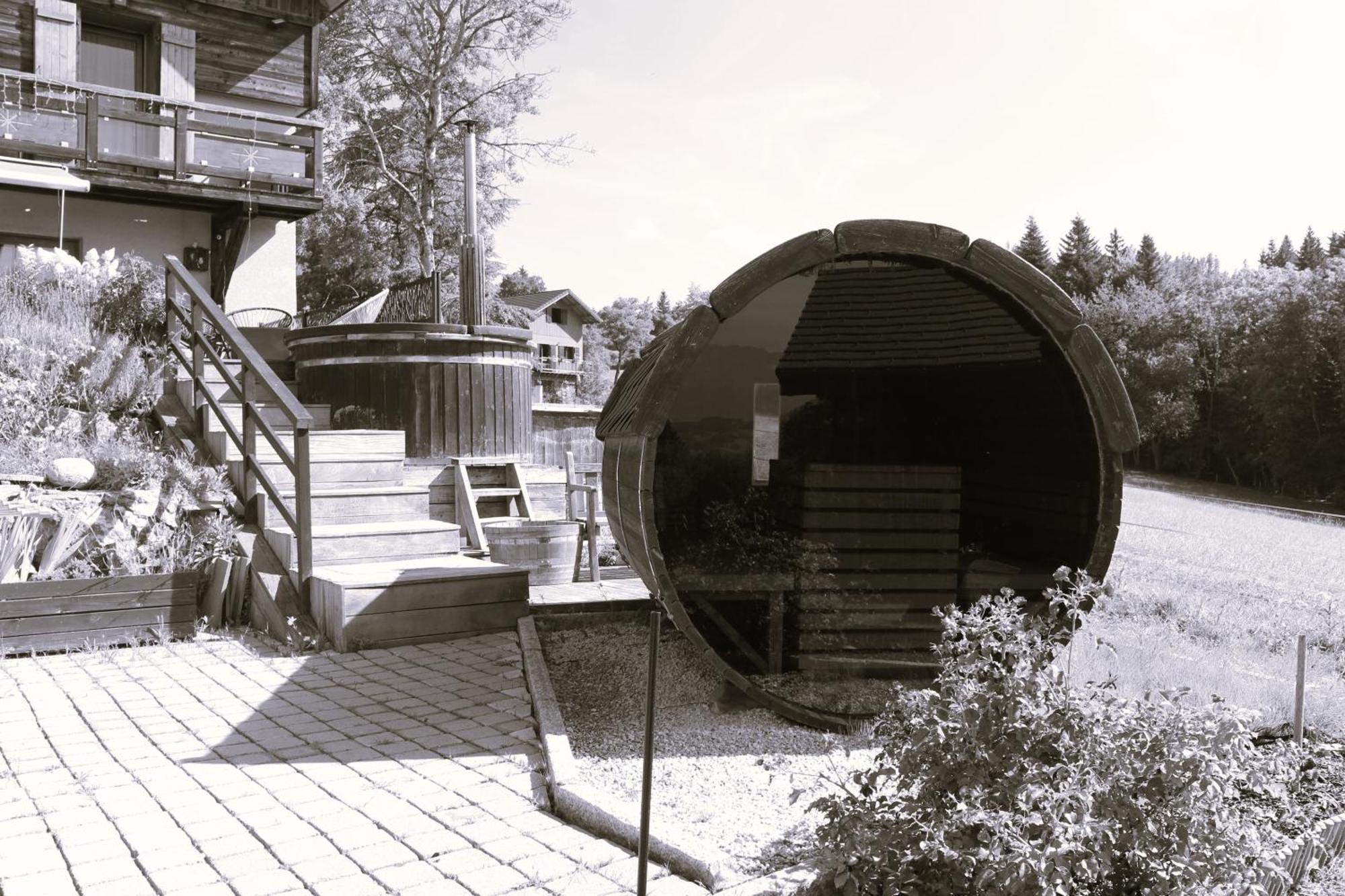 Les Chalets De Ludran Viuz-en-Sallaz Ngoại thất bức ảnh